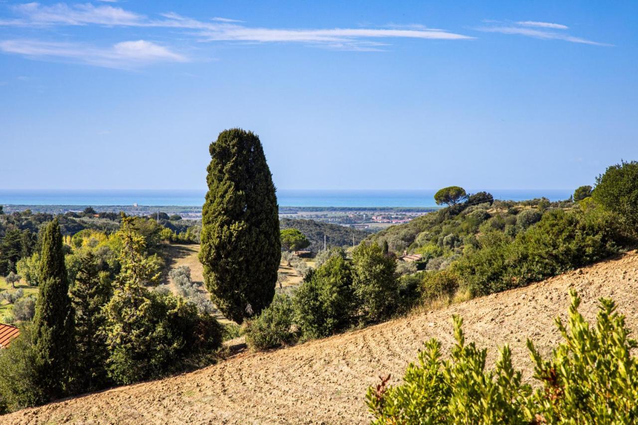 Villa Cesarina Amazing Villa With Private Pool In The Tuscan Hills Casale Marittimo Exterior photo